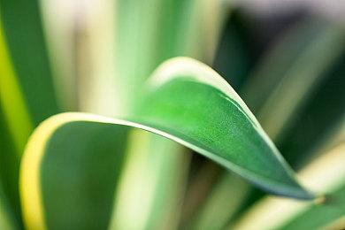 《深夏时光！二十世纪的暑假》Steam页面上线 支持简繁体中文